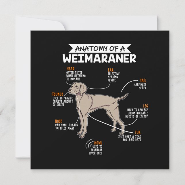 Anatomy Of A Weimaraner Dog Invitation (Front)