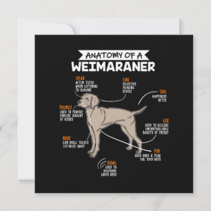 Anatomy Of A Weimaraner Dog Invitation