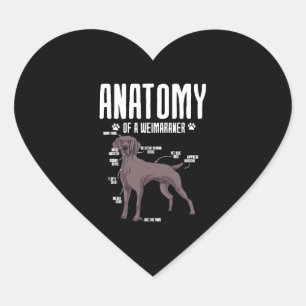 Anatomy Of A Weimaraner Heart Sticker