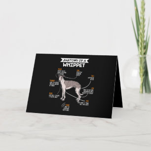 anatomy of a whippet dog funny dog lover gift card