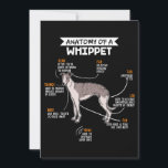 anatomy of a whippet dog funny dog lover gift holiday card<br><div class="desc">anatomy of a whippet dog funny dog lover gift</div>