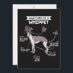anatomy of a whippet dog funny dog lover gift holiday card<br><div class="desc">anatomy of a whippet dog funny dog lover gift</div>