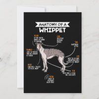 anatomy of a whippet dog funny dog lover gift