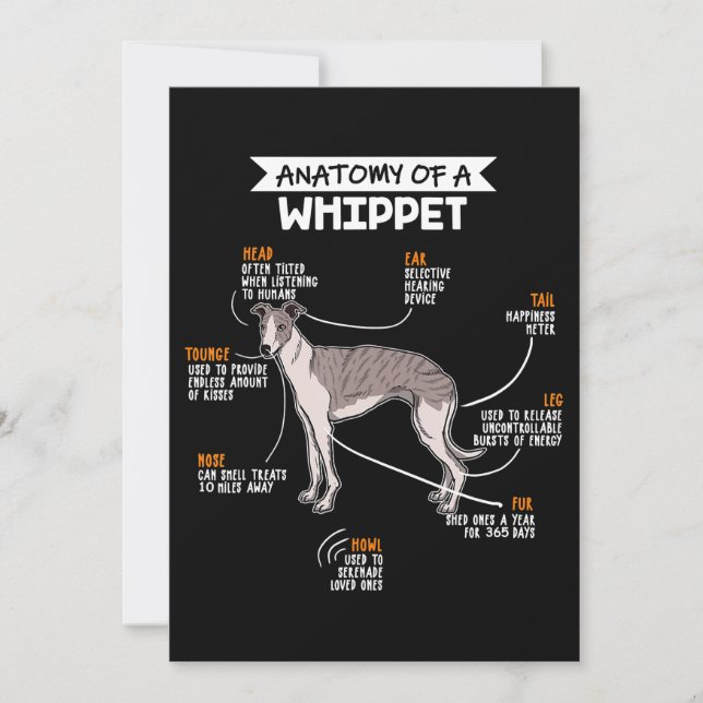 anatomy of a whippet dog funny dog lover gift thank you card (Front)