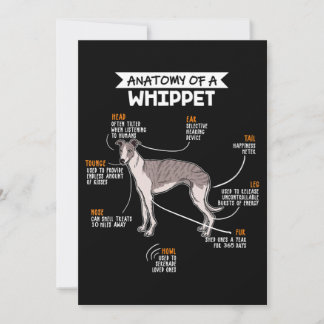 anatomy of a whippet dog funny dog lover gift thank you card