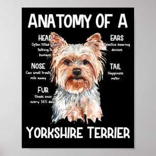 Anatomy Of A Yorkshire Terrier For Dog Lovers Poster