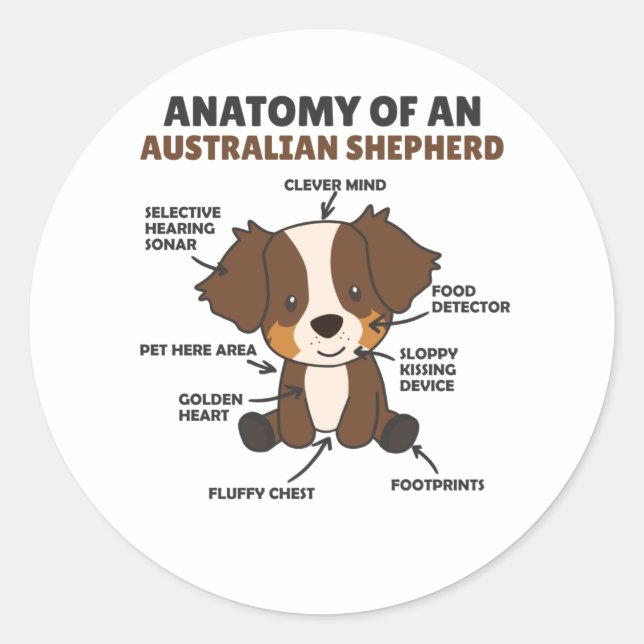 Anatomy Of An Australian Shepherd Sweet Dogs Classic Round Sticker (Front)