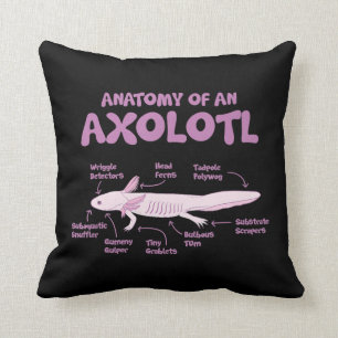 anatomy of an axolotl  axolotls biology science  . cushion