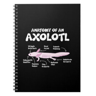 anatomy of an axolotl axolotls biology science notebook