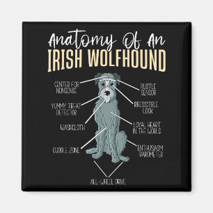 Anatomy Of An Irish Wolfhound  Magnet