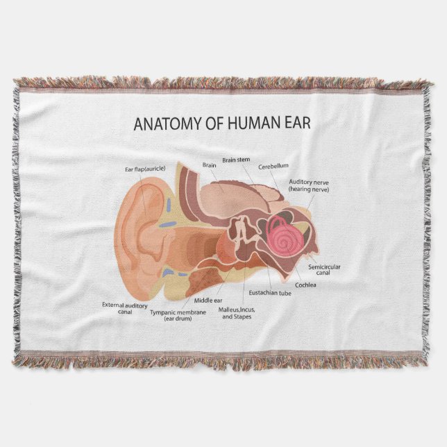 Anatomy of human ears throw blanket (Front)