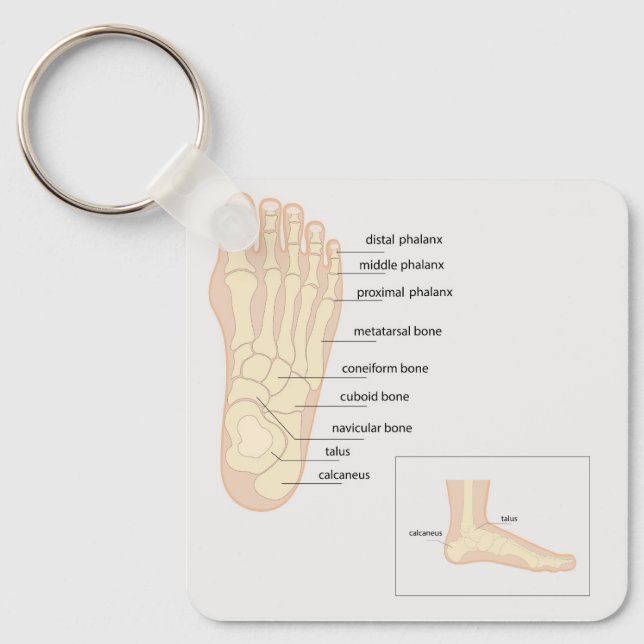Anatomy of human foot  key ring (Front)