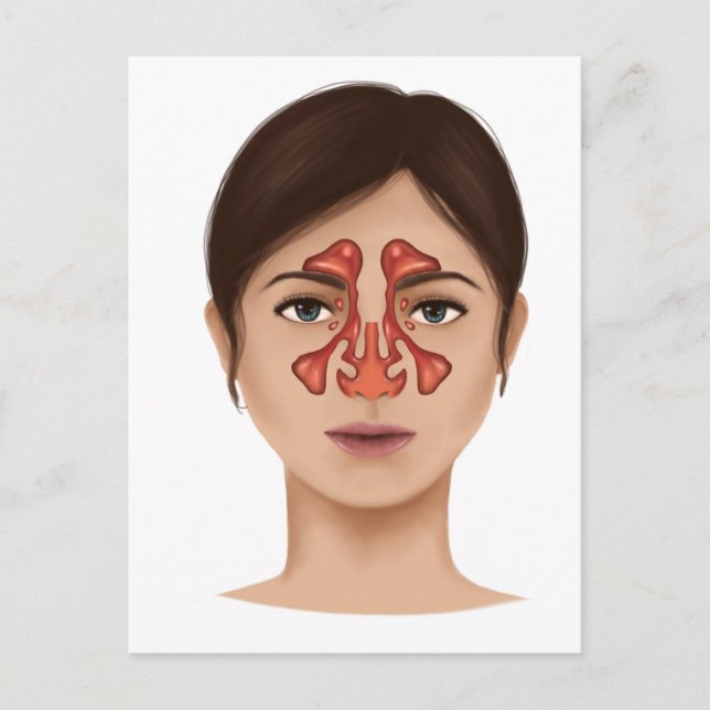 Anatomy Of Nasal Sinuses Postcard (Front)