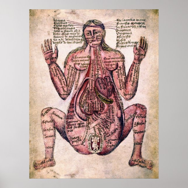 ANATOMY of PREGNANT WOMAN c. 14 century Poster (Front)