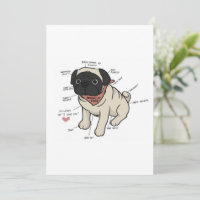 Anatomy Of Pug Dog Chart