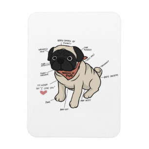 Anatomy Of Pug Dog Chart Magnet