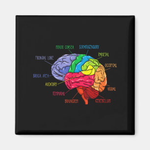 Anatomy of The Brain Neurologist Gift Magnet