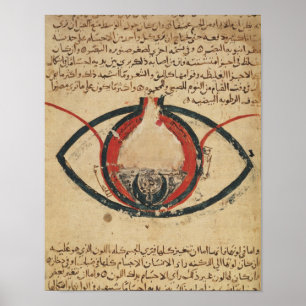 Anatomy of the Eye, from a book on eye diseases Poster