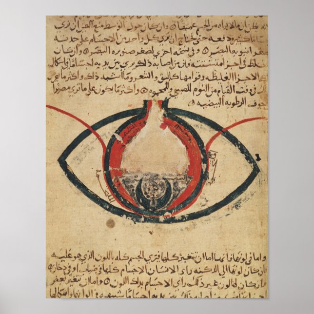Anatomy of the Eye, from a book on eye diseases Poster (Front)