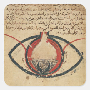 Anatomy of the Eye, from a book on eye diseases Square Sticker