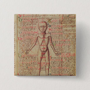 Anatomy of the human body 15 cm square badge