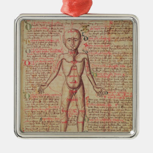 Anatomy of the human body metal tree decoration