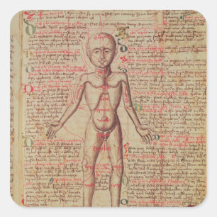 Anatomy of the human body square sticker