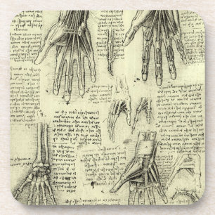 Anatomy of the Human Hand by Leonardo da Vinci Coaster