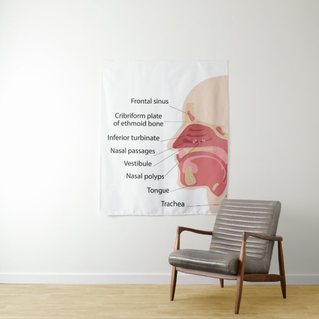 Anatomy of the human nose tapestry (In Situ)