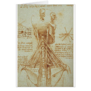 Anatomy of the Neck by Leonardo Da Vinci c. 1515