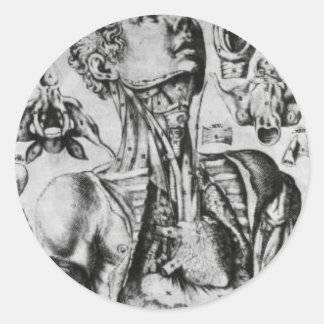 anatomy of  the respiratory system classic round sticker