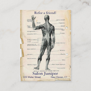 Anatomy Posterior Vintage Drawing Referral Card