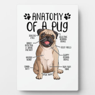 anatomy pug dog pug lover sweat plaque