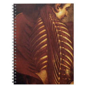 Anatomy/Skeletal of Female Notebook