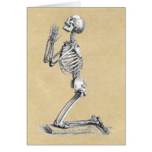 Anatomy Skeleton Illustration Greeting Cards