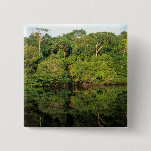 Anavilhanas, Amazonas, Brazil. Rainforest river 15 Cm Square Badge