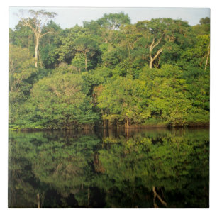 Anavilhanas, Amazonas, Brazil. Rainforest river Ceramic Tile