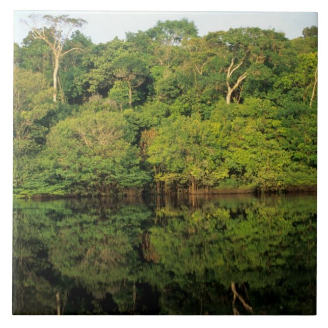 Anavilhanas, Amazonas, Brazil. Rainforest river Ceramic Tile (Front)