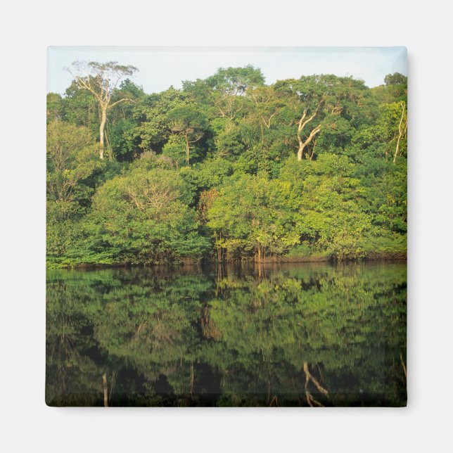Anavilhanas, Amazonas, Brazil. Rainforest river Magnet (Front)