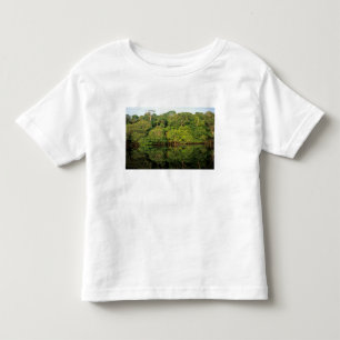 Anavilhanas, Amazonas, Brazil. Rainforest river Toddler T-Shirt