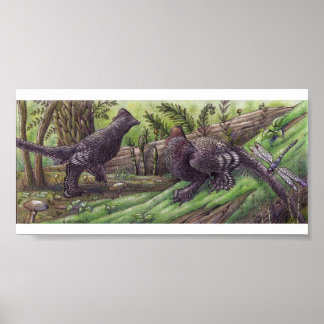 Anchiornis: Dimorphism Print