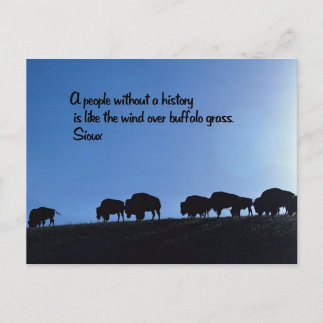 Ancient American Indian proverb Postcard (Front)