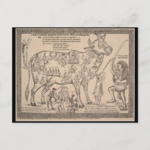 Ancient Art Postcard, Hindu Divine Cow Chart Postcard
