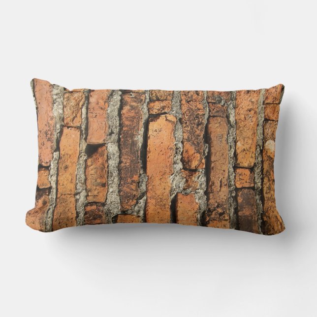 Ancient Brick Wall Lumbar Cushion (Front)