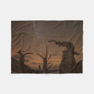 Ancient Bristlecone Pine Forest   California Fleece Blanket
