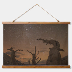 Ancient Bristlecone Pine Forest California Hanging Tapestry