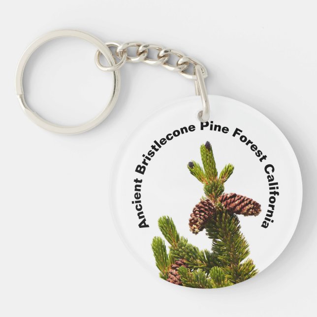 Ancient Bristlecone Pine Forest California Key Ring (Front)