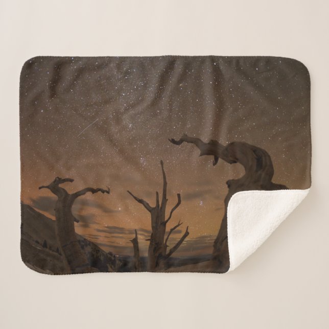 Ancient Bristlecone Pine Forest | California Sherpa Blanket (Front (Horizontal))
