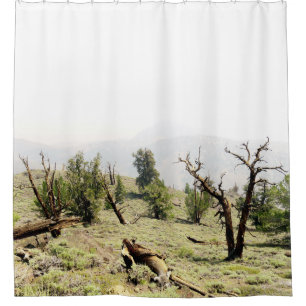 Ancient Bristlecone Pine Forest California Shower Curtain