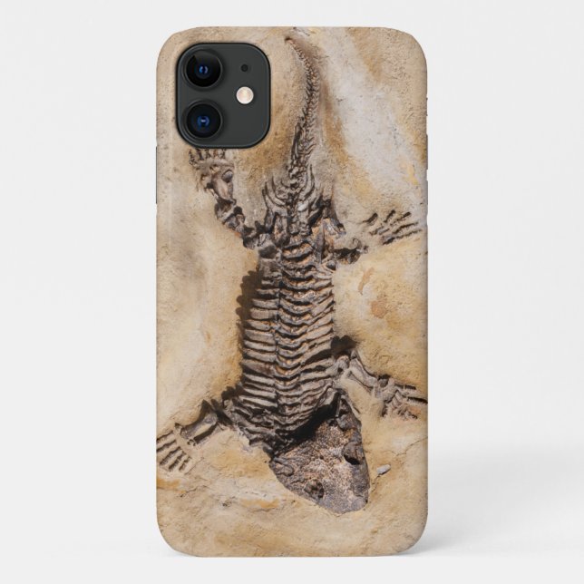 Ancient Dinosaur Fossil in Stone Case-Mate iPhone Case (Back)